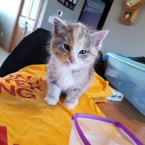 Meet your Posher, Kendra